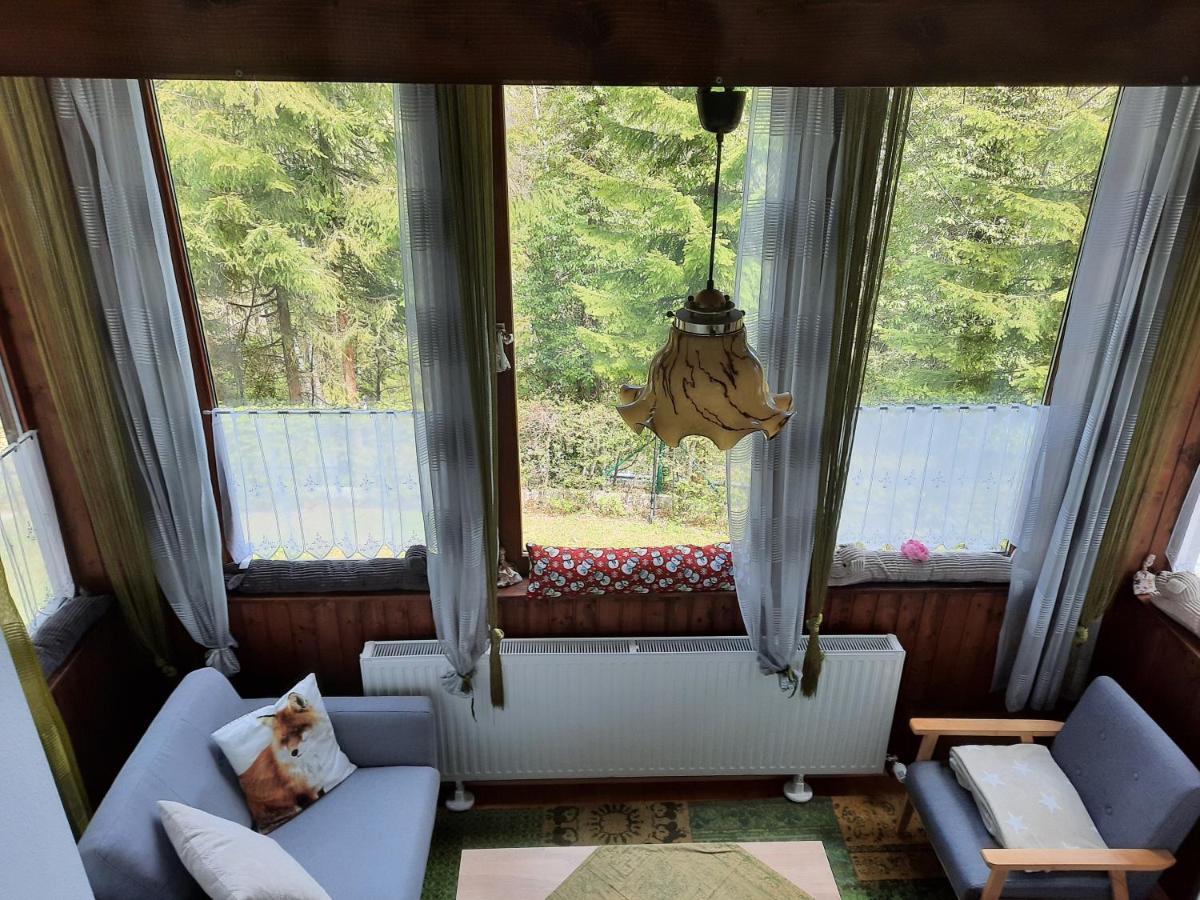 Villa Agnes Semmering Luaran gambar