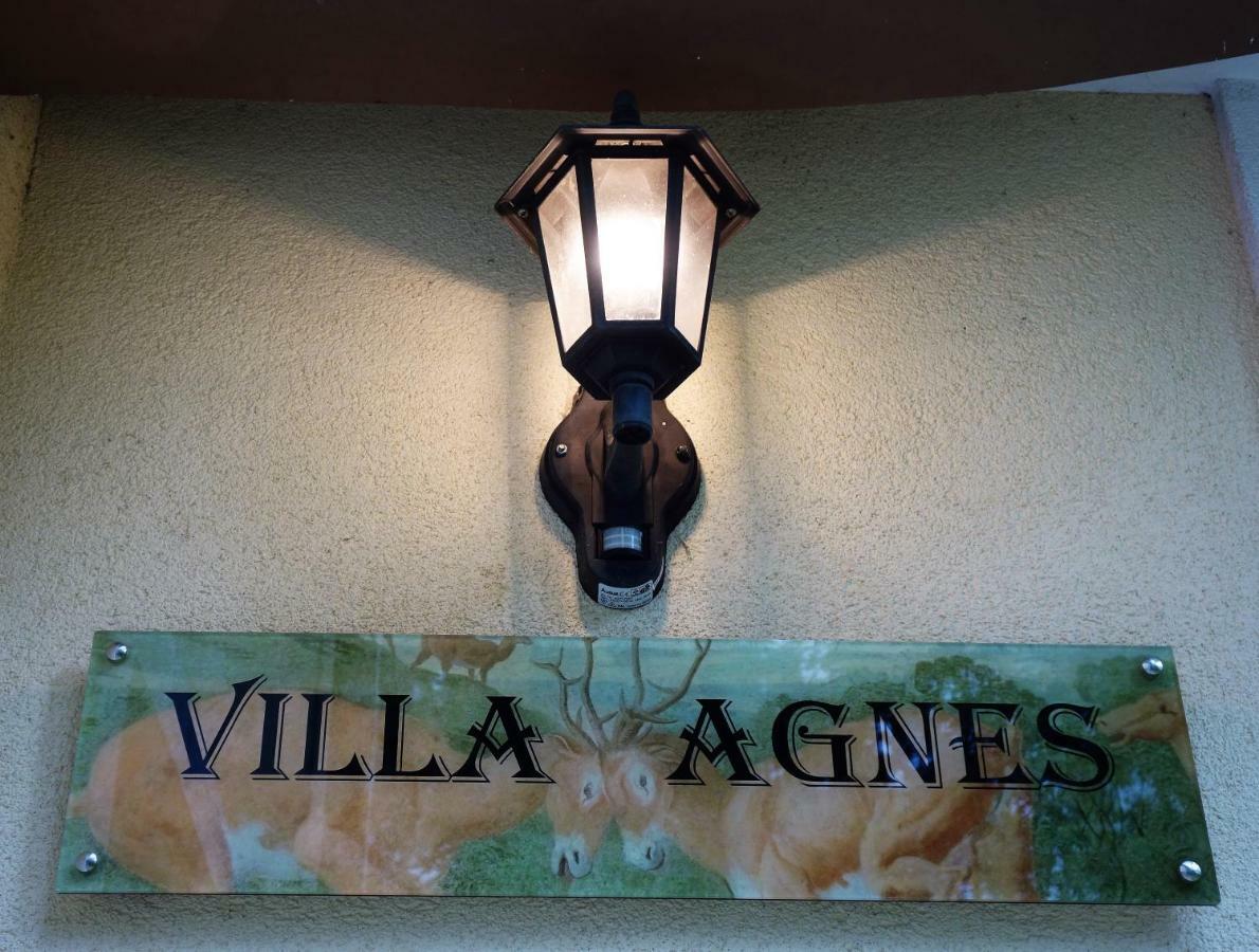 Villa Agnes Semmering Luaran gambar
